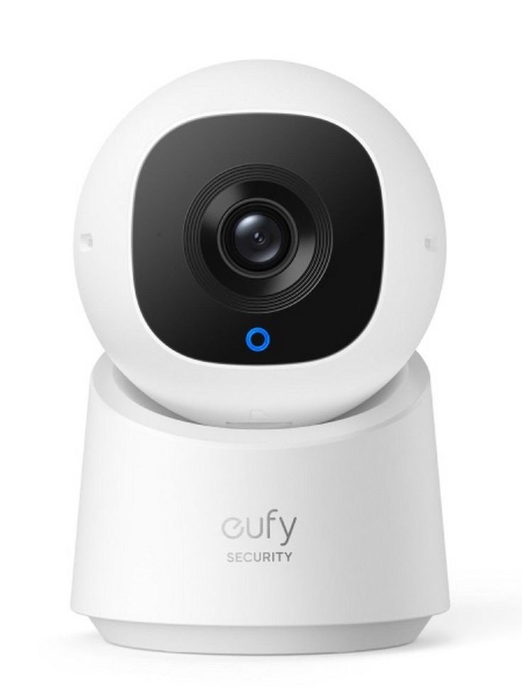 Camera Surveillance